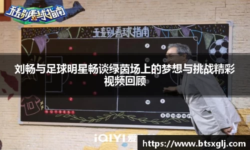 刘畅与足球明星畅谈绿茵场上的梦想与挑战精彩视频回顾